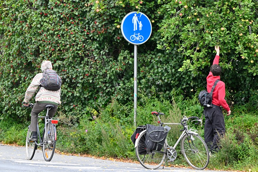 Nekalos ir Viinikkos miesto rajonas yra viena iš teritorijų, įtrauktų į projektą „PULSE“. Gyventojai bus kviečiami dalyvauti kūrybinėse dirbtuvėse, kuriose, taikant meninius metodus, bus stiprinamas bendruomeniškumo ir priklausymo bendruomenei jausmas (Nuotr. Eeva Puumala).